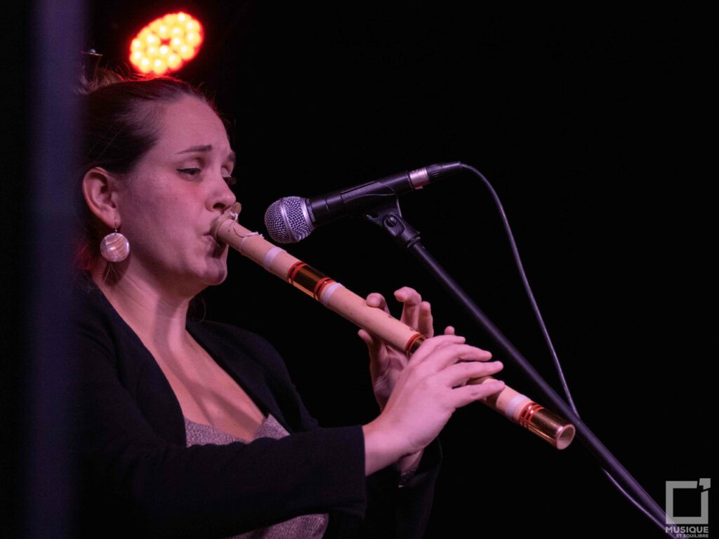 salle de concert musique et équilibre argonaute argonne loiret musiques actuelles orléans loiret sortir à orléans bomka anthony herminy naïé dutrieux musiques du monde