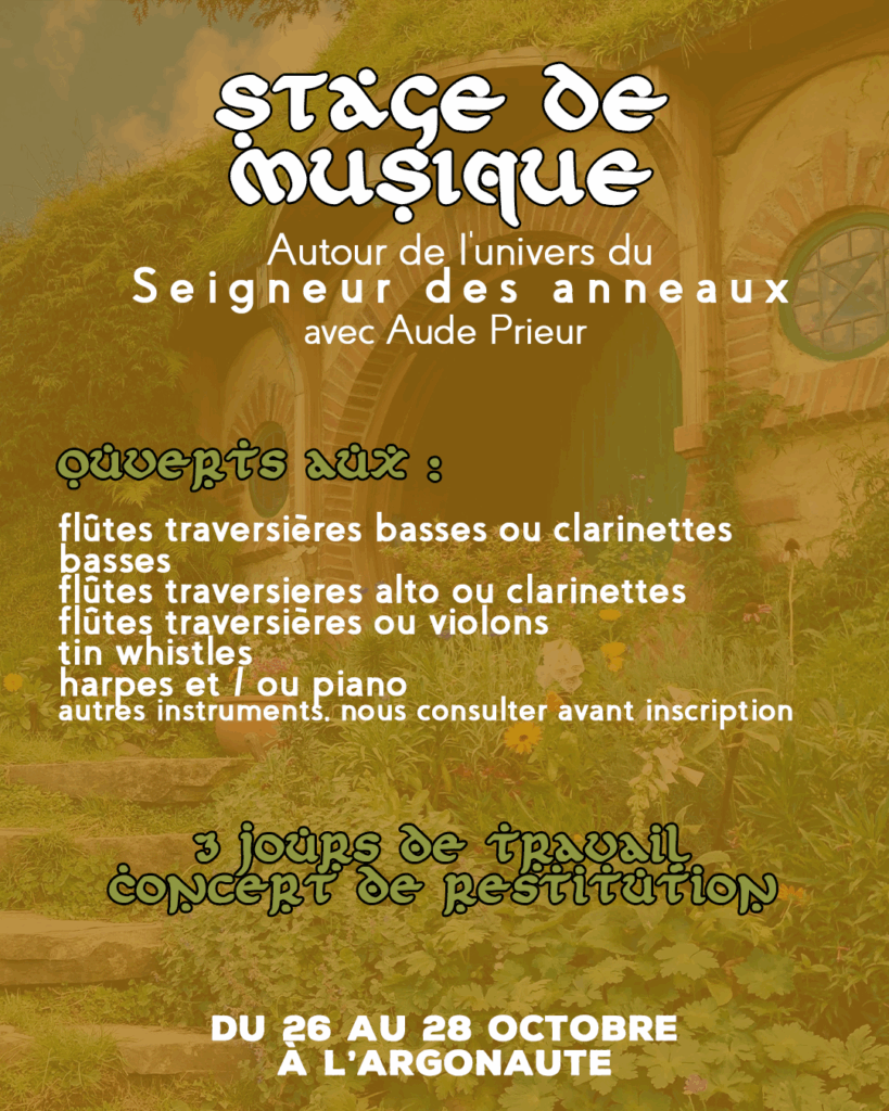stage de musique le seigneur des anneaux aude prieur
